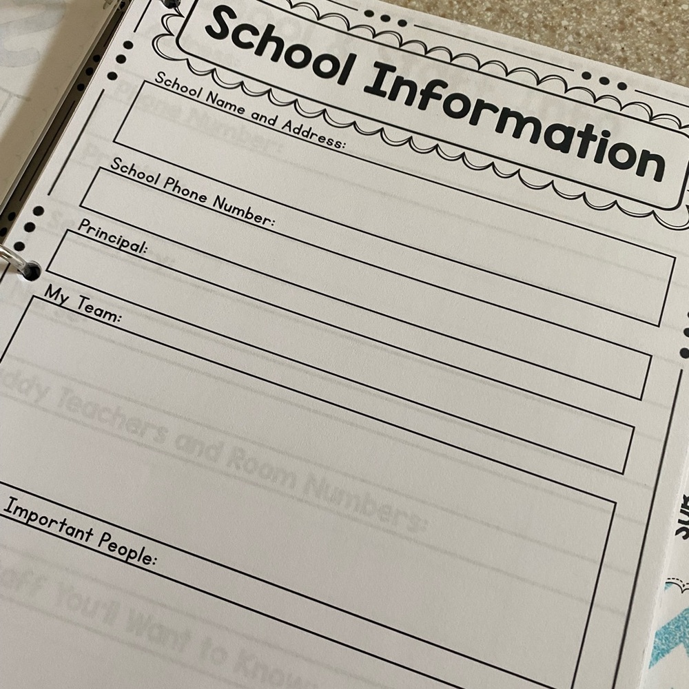 TEACHER GRAB BAG Substitute Teacher Binder - Picture 15 of 15